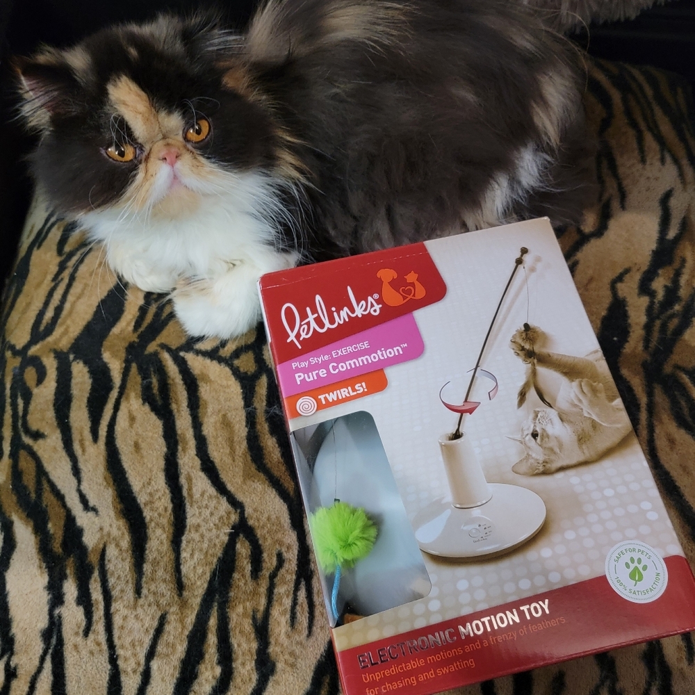 Petlinks Pure Commotion Cat Toy A Favorite!!